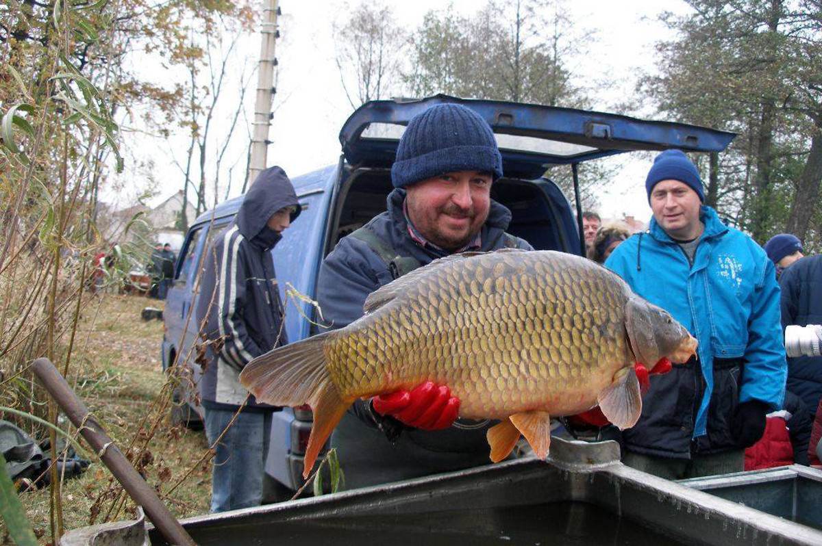 (Ne)tradiční výlov Mitrovického rybníku – 21.11. 2020