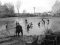 (FOTO) Tradiční výlov Mitrovického rybníka