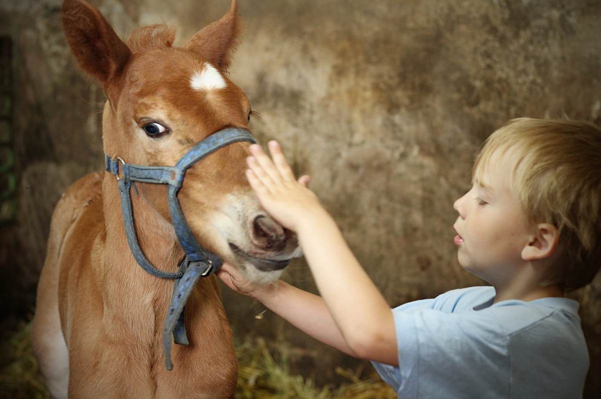 Úžasné fotomomentky od Hanky Chlupaté