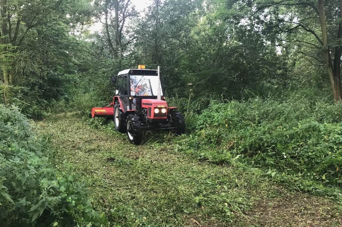 V přírodním parku Hrabovjanka firma v těchto dnech montuje vrbový altán