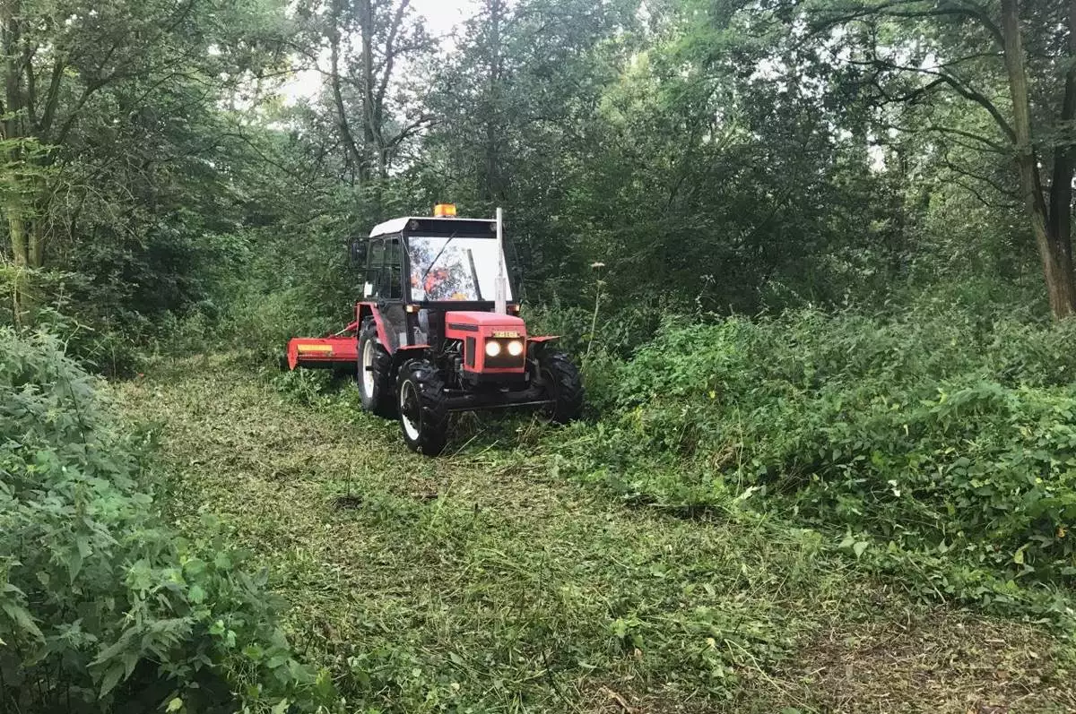Kvůli nepříznivému počasí se odkládá zvelebování „Hrabovjanky“