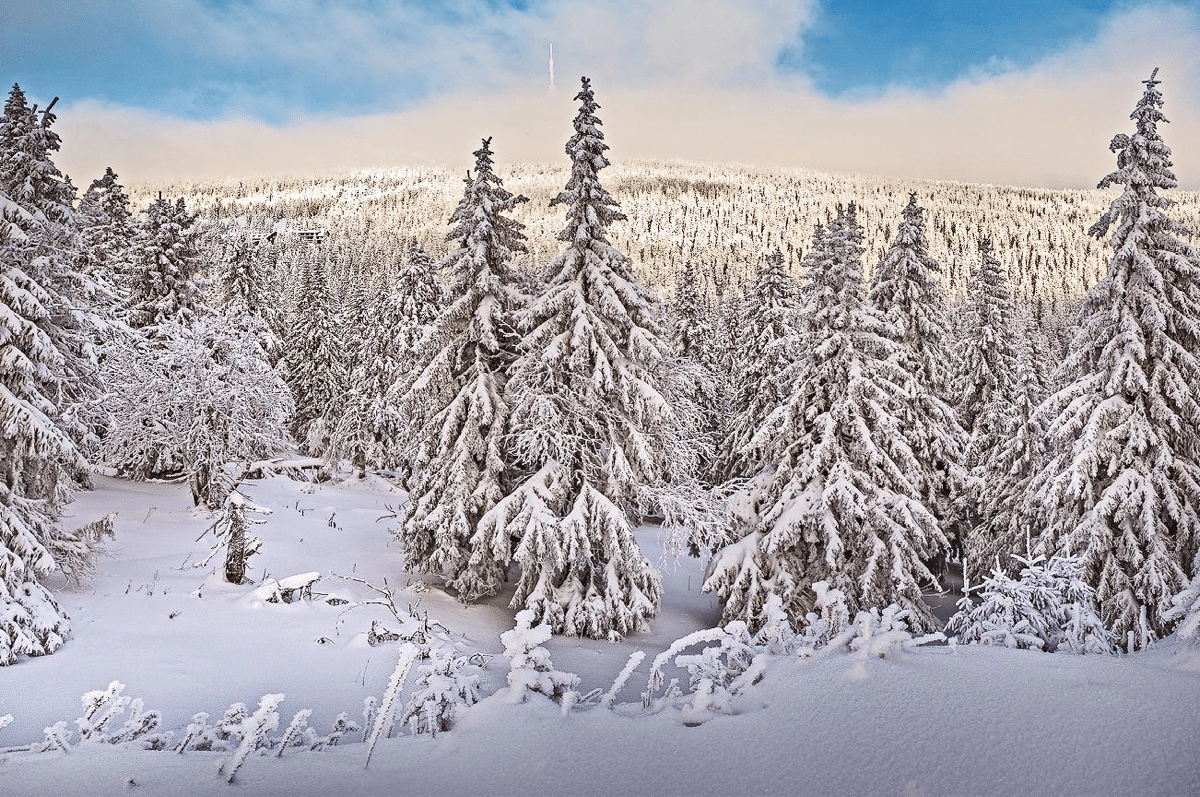 Výstava Oldřicha Pavlíka: Českou a Skotskou krajinou (2. – 31. 12. 2018)