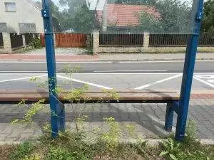 Zastávka Bělská