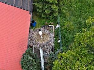 (FOTO) Na návštěvě Viléma a Jasmíny, našeho čapího páru