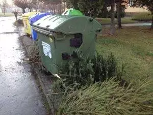 Odložené vánoční stromky
