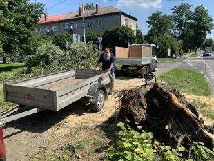 (FOTO) Na Šídlovci pokračují práce na likvidaci spadlého stromu