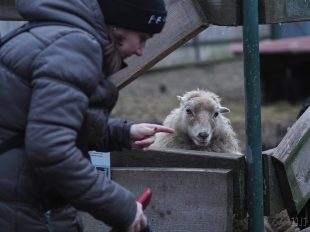 (FOTO) Své brány letos poprvé otevřela Farma Duběnka v Ostravě-Hrabové