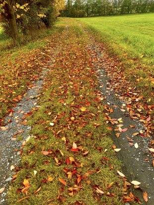 (FOTO) Květoslava Nyklová: Podzim v Hrabové