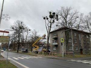 Ostrava-Hrabová, Šídlovec | Foto: Radomír Orkáč