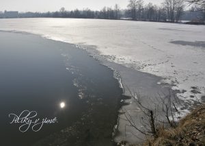 HL13 - Pilíky v zimě | Petr Žižka