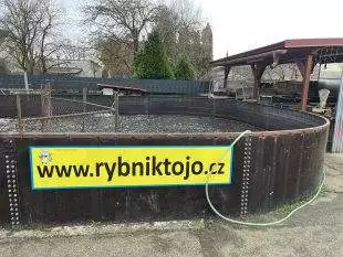 Hrabová: Prodej ryb z Třeboňska od 5.-23.12. 2025