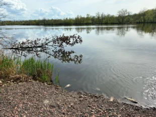 Hrabová: Uhynulé ryby na Pilících byly odstraněny – nešlo o havárii