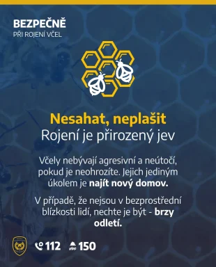 Hasičský záchranný sbor ČR: 🐝 Rojení včel? Zachovejte klid.