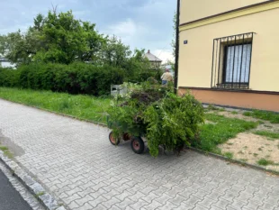 Poděkování rodině pana Chlupatého za péči o okolí fary a kostelíku