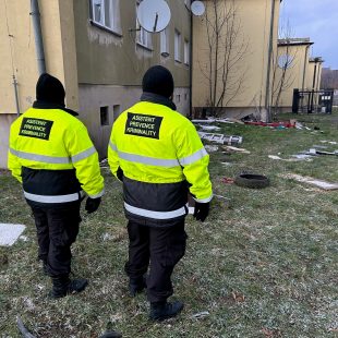 Městská policie Ostrava přijímá další asistenty prevence kriminality