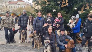 Hrabová: Program socializačních procházek do konce roku 2025