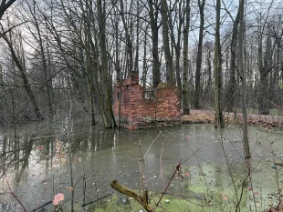 (FOTO) Bobři mění tvář Hrabové: u Pilíků vznikla nová „vodní krajina“