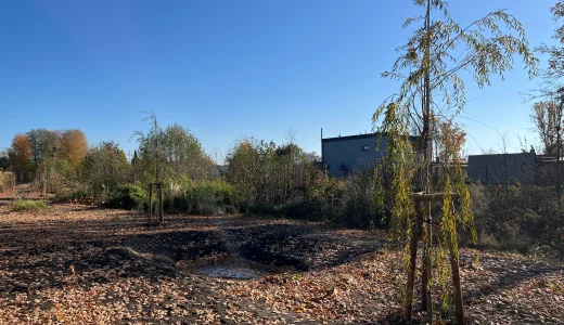 Hrabová: Informace o Mokřadech II