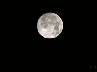 (FOTO) Bobří úplněk nad Hrabovou 2025/11